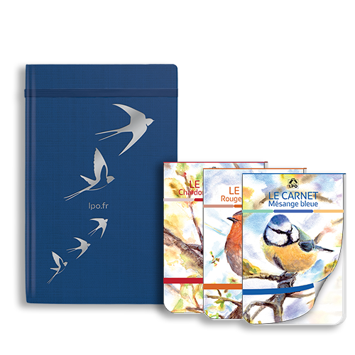 Carnets
